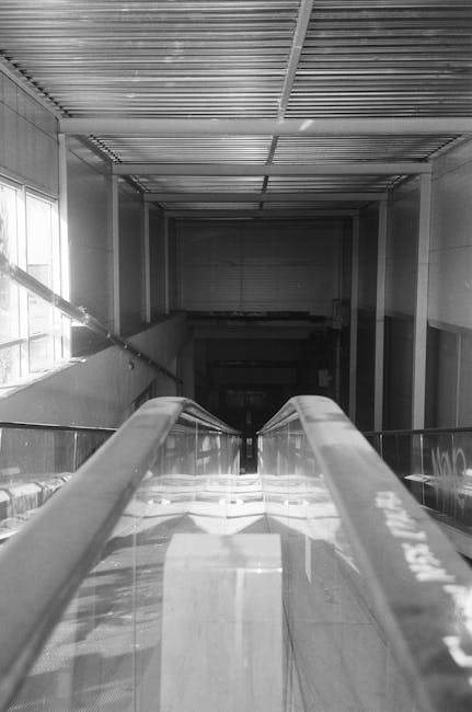 A view of a staircase inside a building, with red carpeted stairs and a modern glass and metal railing. The staircase is situated in a well-lit area with neutral-colored walls, and the photo is taken from an upper floor looking downward. Visible are cardboard boxes and packing materials near the bottom of the stairs, indicating a house removal or relocation process. The scene captures the interior environment where furniture and belongings are being moved, supported by the presence of a professional home relocation service such as Man with Van Goddington, operating within the context of house removals, packing, and furniture transport.